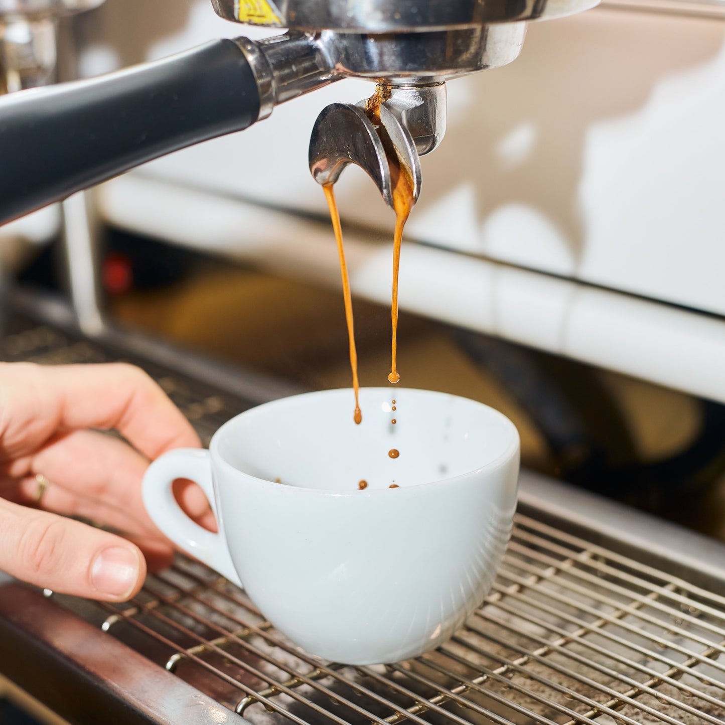 Office Subscription Yellow Blend