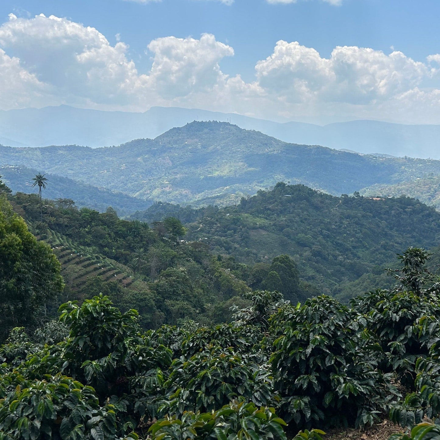 Colombia La Kaleidoscope 2.0