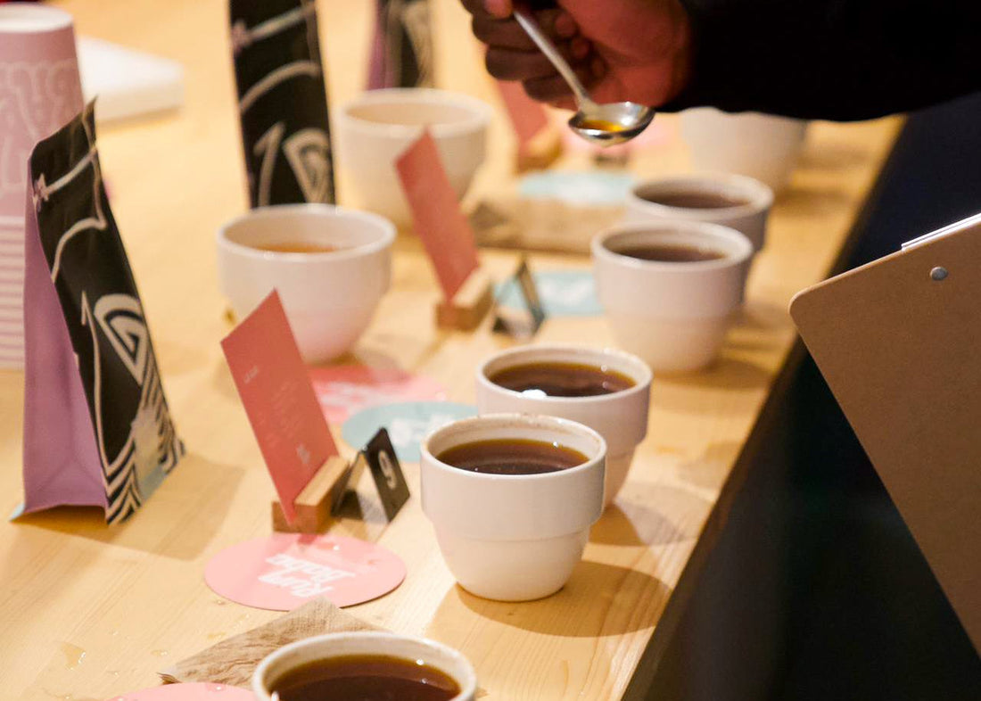 Roast profiles: Light and Medium roast