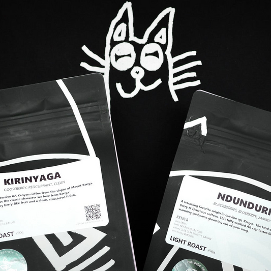 Kenya Bundle