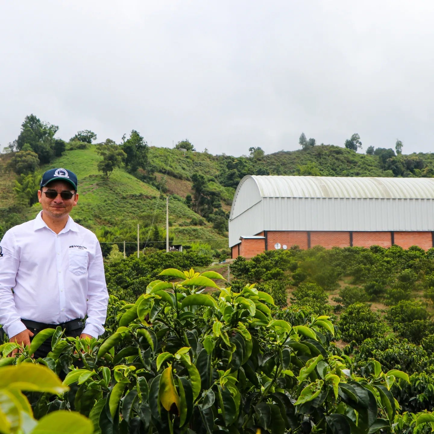 Colombia Night Owl - Decaf - Pre-order! Shipping on Monday