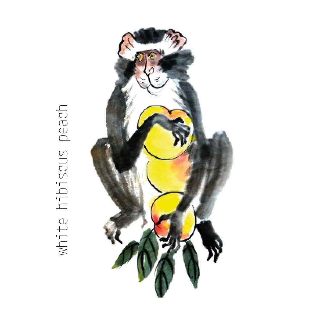 White Hibiscus Peach - 50 gr