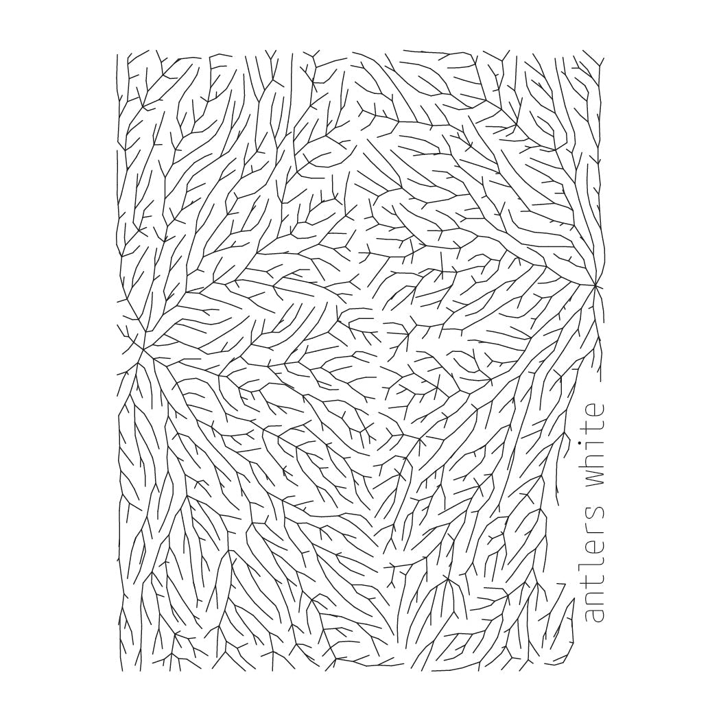 Antlers White tea - 40 gr