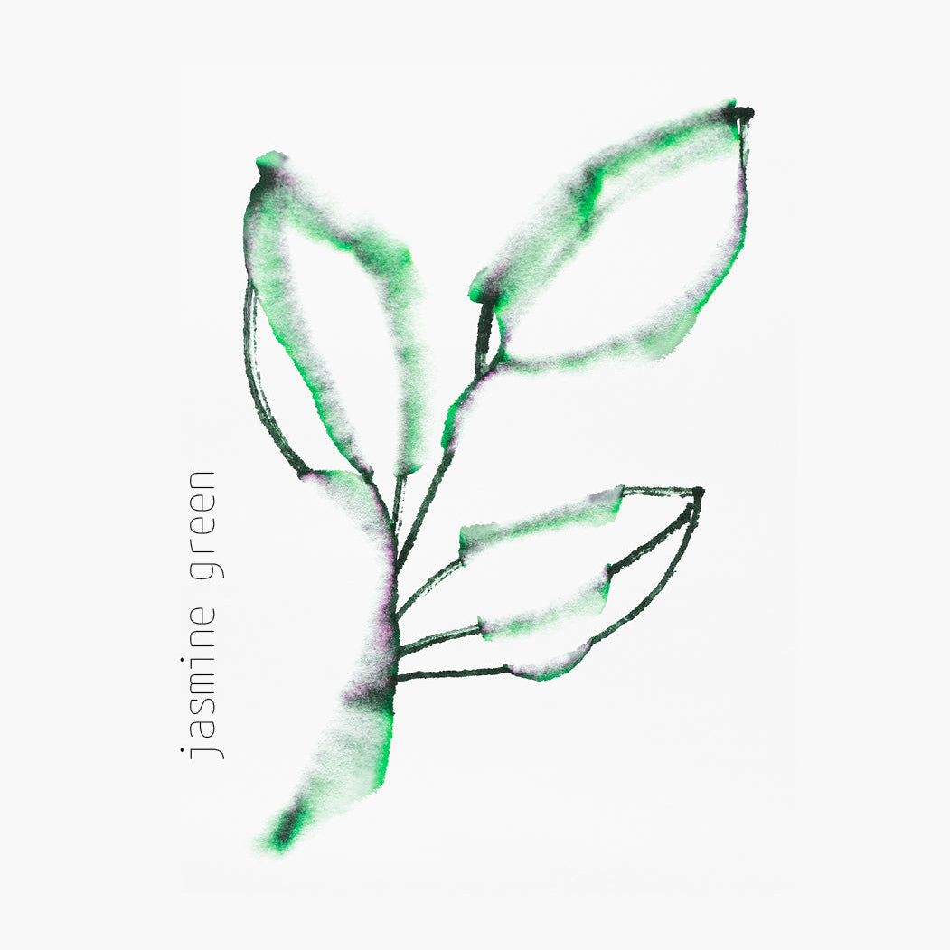 Jasmine Green - 50 gr
