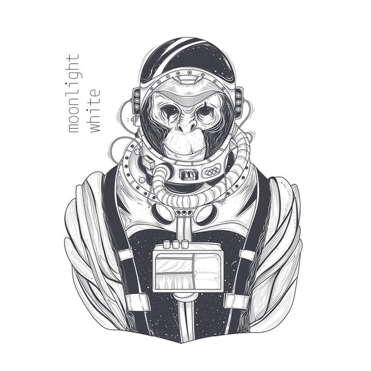 Moonlight White Tea - 40 gr